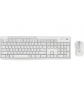 DT Logitech MK295 Silent Wit draadloos Retail