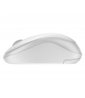 DT Logitech MK295 Silent Wit draadloos Retail