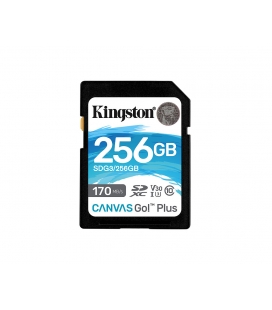 SDXC Card 256GB Kingston U3 V30 Canvas Go! Plus
