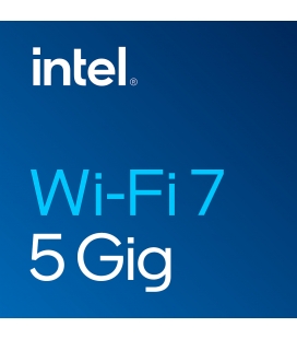 WIFI7 5800Mbps - Intel BE200