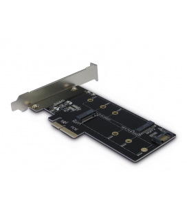 Adapter LP NVMe-->PCIe + NVMe-->SATA Inter-Tech KT015