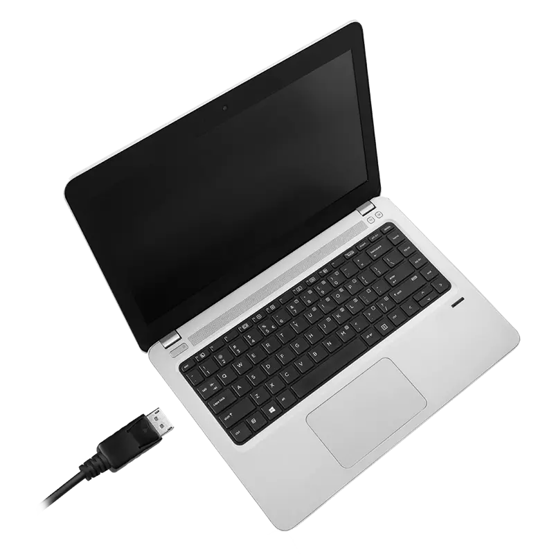 Adapter DisplayPort naar DVI / HDMI / VGA LogiLink - Afbeelding 6