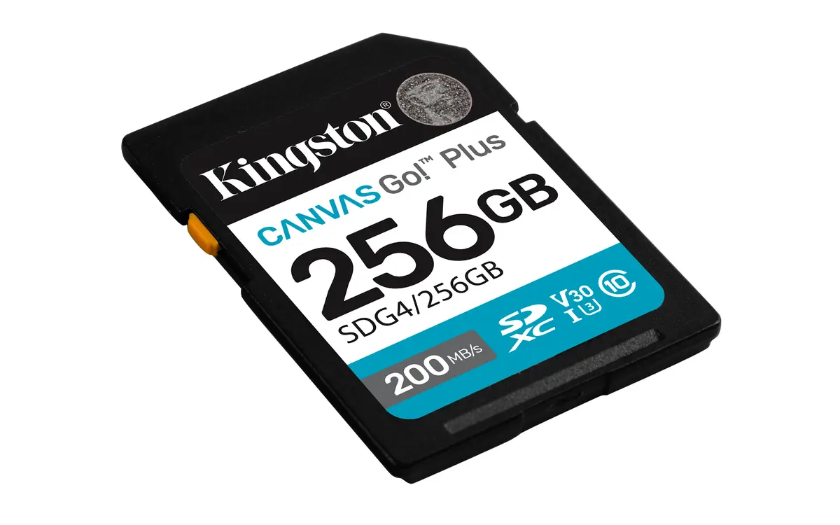 SDXC Card 256GB Kingston U3 V30 Canvas Go! Plus - Afbeelding 2