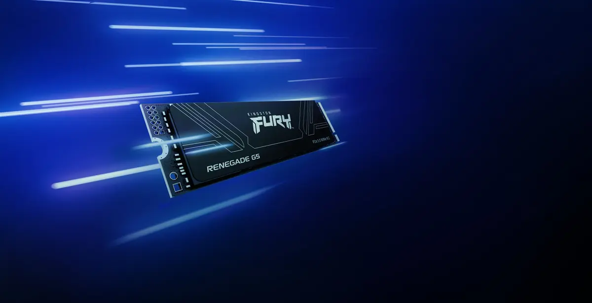 1TB M.2 PCIe NVMe Kingston FURY Renegade G5 14200/11000 - Afbeelding 10