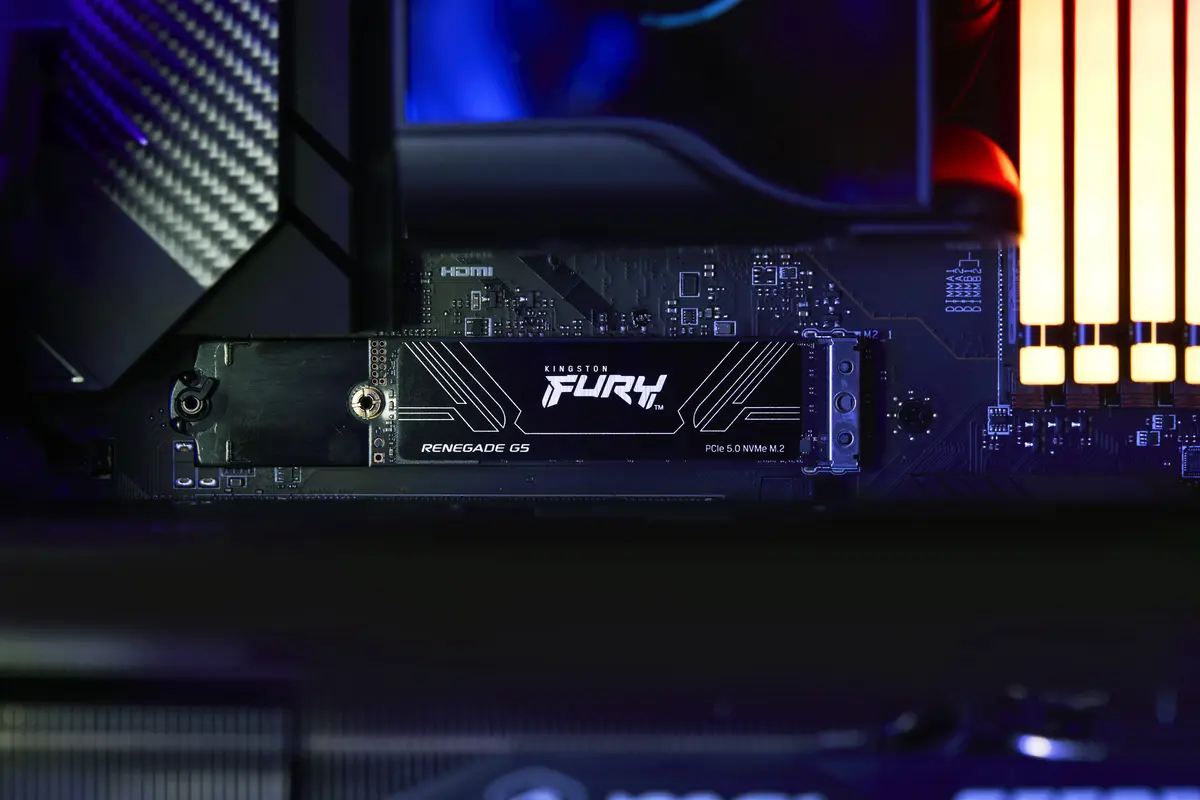 1TB M.2 PCIe NVMe Kingston FURY Renegade G5 14200/11000 - Afbeelding 12