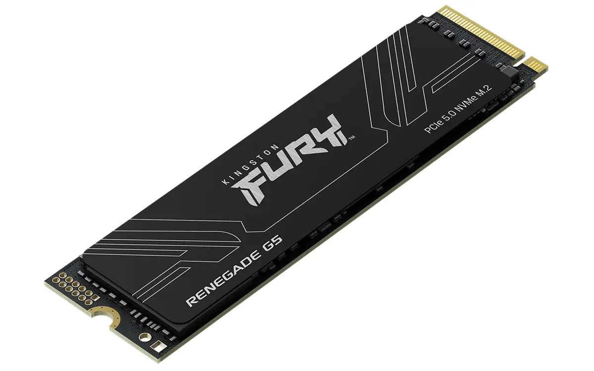 1TB M.2 PCIe NVMe Kingston FURY Renegade G5 14200/11000 - Afbeelding 3
