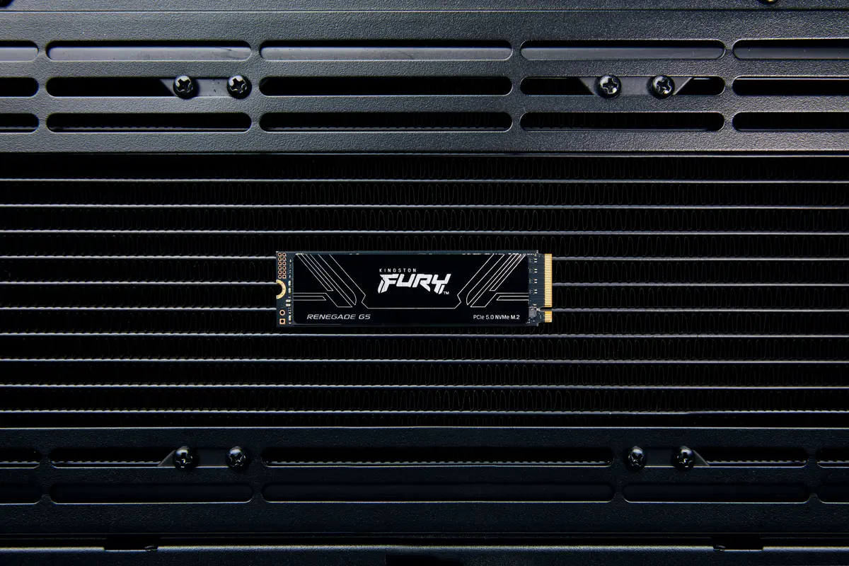 1TB M.2 PCIe NVMe Kingston FURY Renegade G5 14200/11000 - Afbeelding 6