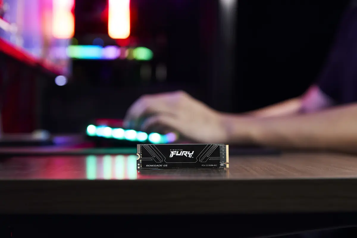 1TB M.2 PCIe NVMe Kingston FURY Renegade G5 14200/11000 - Afbeelding 9