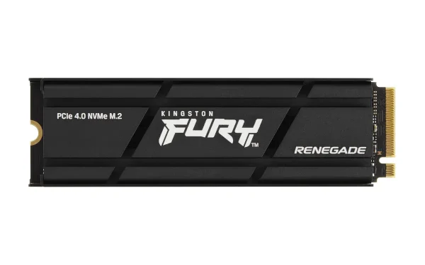 4TB M.2 PCIe NVMe Kingston FURY Renegade 7300/7000 Heat