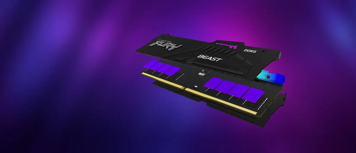 32GB DDR5/5600 CL36 (2x 16GB) Kingston FURY Beast Black - Afbeelding 12