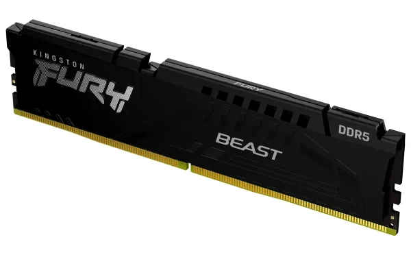 8GB DDR5/5600 CL36 Kingston FURY Beast Black EXPO XMP