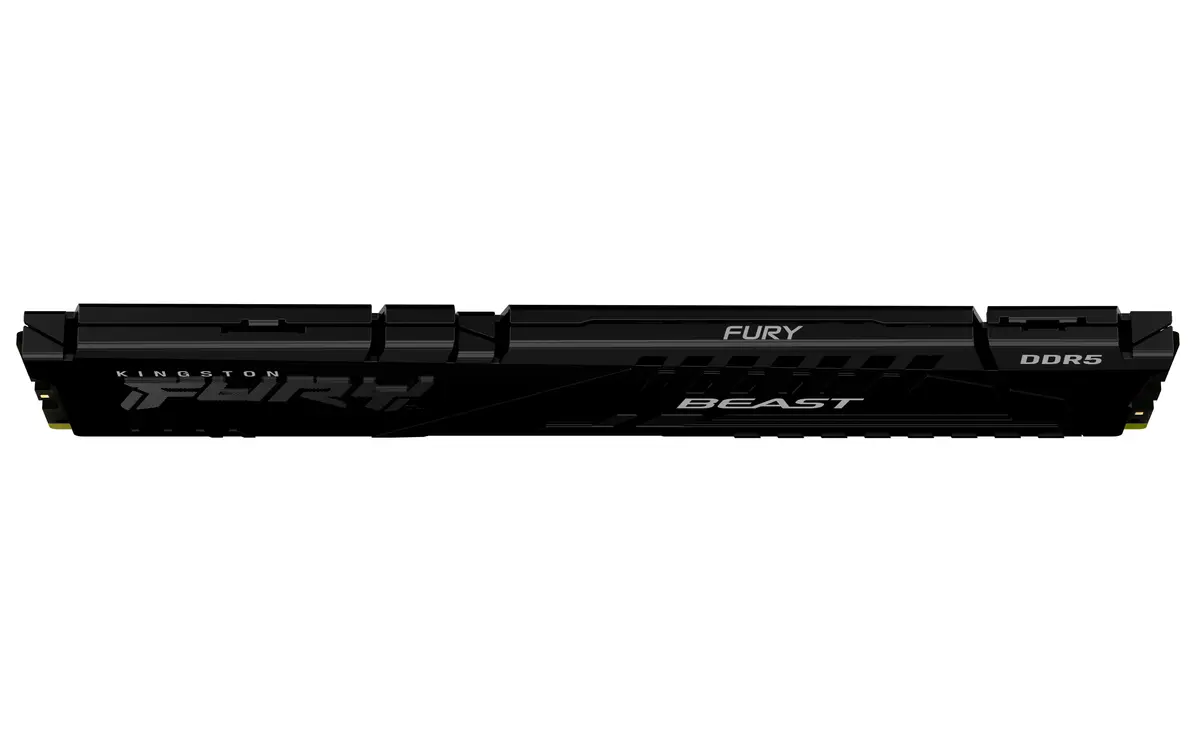 8GB DDR5/5600 CL36 Kingston FURY Beast Black EXPO XMP - Afbeelding 4
