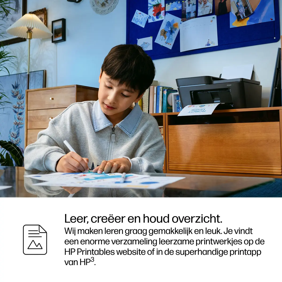 HP Deskjet 4320e AIO / WLAN / Zwart - Afbeelding 17